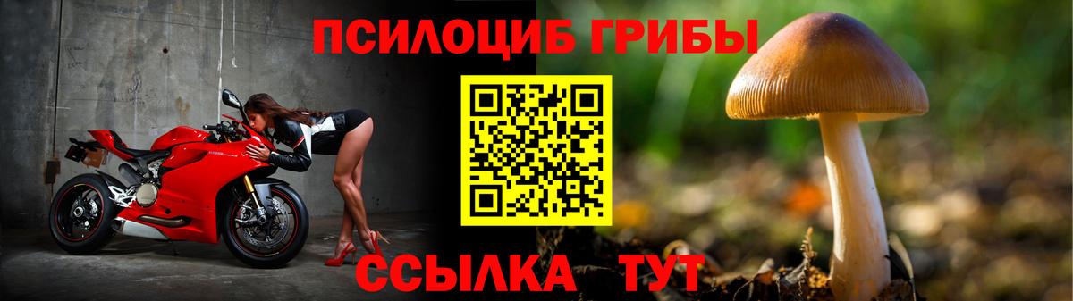 Псилоцибиновые грибы Psilocybine cubensis Камень-на-Оби