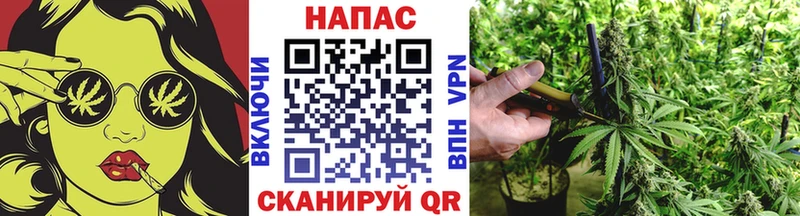 цена наркотик  Камень-на-Оби  Конопля конопля 
